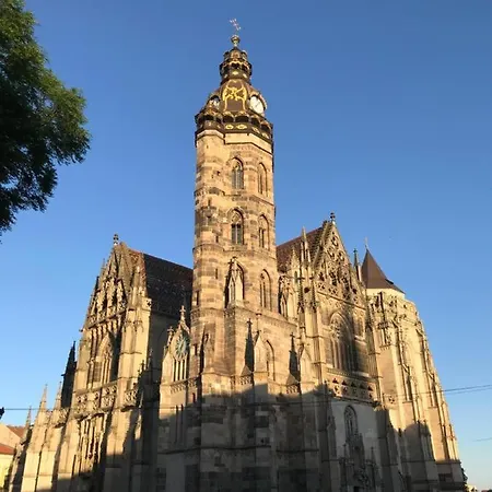 Dh Duomo Ii דירה *